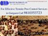 Photo for Dial +91-9810353723 | pest control Gurgaon