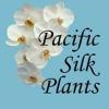 Photo for Pacific Silk Plants