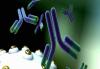 Photo for Monoclonal Antibody Therapeutics Market to Surpass US$ 174.2 Billion Threshold by 2026