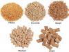 Photo for Bird Food Ingredients Market - Global Industry Analysis, Segments, Major Geographies and Current Market Forecasts 2023