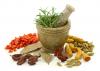 Photo for Best Ayurvedic Hospital in Hyderabad,Saidabad,Gachibowli,Dilsukhnagar,Balapur