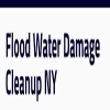 Photo for Flood Water Damage Clean Up Long Island