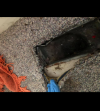 Photo for Professional Asbestos Removal CT