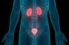 Photo for Bladder Cancer Therapeutics Market – Global Industry Insights, Trends, Outlook, and Opportunity Analysis, 2018–2026