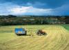 Photo for Martinez Farm Contractor LLC