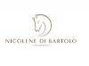 Photo for Nicolene Di Bartolo Management Appointments CC