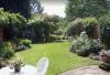 Photo for Find Tree Stump Removal service in Kidderminster