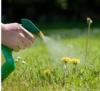 Photo for Bioherbicides Market and their Sales Volume, Value, Competitive Landscape and Recent Developments 2019-2023