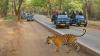 Photo for Adore the Unparalleled Adventure and Capture the Memoirs at Gir National Park