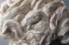 Photo for Global Rayon Fibers Market – Current Trends, Opportunities & Challenges by 2024