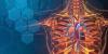 Photo for Biosimulation Market - Size, Share, trends, and Forecast to 2026