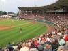 Photo for The Spectator Sports Market Top Companies, Trends and Growth