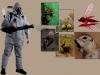 Photo for Pest Control & Pest Removal