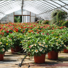 Photo for The RainForest Florist