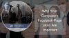 Photo for why your company's facebook page likes are important