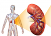 Photo for Book Appointment with Doctor, Online