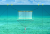 Photo for Fishing Net and Aquaculture Cage Market– Size, Share, Outlook, and Opportunity Analysis, 2018 – 2025