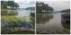 Photo for Riese Aquatics, LLC