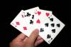 Photo for Brians Club | The Best Quality Cards | Brainsclub cards