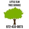 Photo for Little Elm Tree Service
