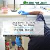 Photo for Cockroach removal by Pest Control in Delhi | Call +91-9811381458