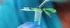 Photo for Small Molecule API Market to See Incredible Growth By 2026
