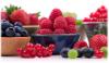 Photo for Natural Antioxidants Market Industry Review, Key Players Profile, Statistics and Growth to 2026