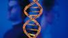 Photo for Recombinant DNA Technology Market 2026 Increasing the Growth Worldwide
