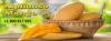 Photo for Mangoes Suppliers in India