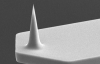 Photo for Global AFM Probe Market Worldwide Industry Analysis and New Market Opportunities Explored