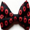 Photo for Pre-Tied Silk Bow Ties