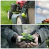 Photo for LLoyd Landscaping Inc.