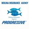 Photo for Molina Insurance Agency, LLC