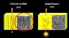Photo for Cesium Iodide Indirect Flat Panel Detector Market 2025: Industry Size Outlook, Increasing Trend Diversity, Analysis, Future Scope