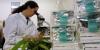 Photo for Cannabis Testing Market Is Likely To Grow At The Uppermost CAGR During The Forecast Period 2018-2026