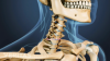 Photo for Total Disc Replacement Market - Global Industry Insights, Trends, Outlook  2018-2026