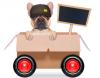 Photo for Pet Relocation to India from USA