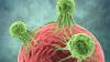 Photo for Immune Anti-Inhibitor Market - Global Industry, Analysis and Forecast till 2026