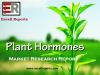 Photo for Global Plant hormones Market Key Country Analysis and Regional Forecast 2019-2023