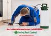 Photo for Hire Pest Control Gurgaon Services | Call 9811381458