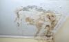 Photo for HOME MOLD TEST IN SARASOTA 1-888-851-5755