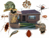 Photo for Ace Pest Solutions Ltd