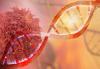 Photo for Personalized Gene Therapy Treatments for Cancer Market Updates till 2026