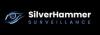 Photo for SilverHammer Surveillance