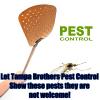 Photo for Tampa Brothers Pest Control