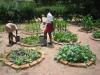 Photo for Rural Activities Market | Characteristics, Forecast Size, Trends