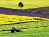 Photo for Agriculture Market | Characteristics, Forecast Size, Trends