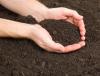 Photo for Lead in Soil