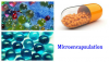 Photo for Microencapsulation Market Latest Trends, and Competitive Analysis 2019 - 2025