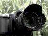 Photo for Global Digital Camera Market Size, Application Analysis and Regional Outlook Report